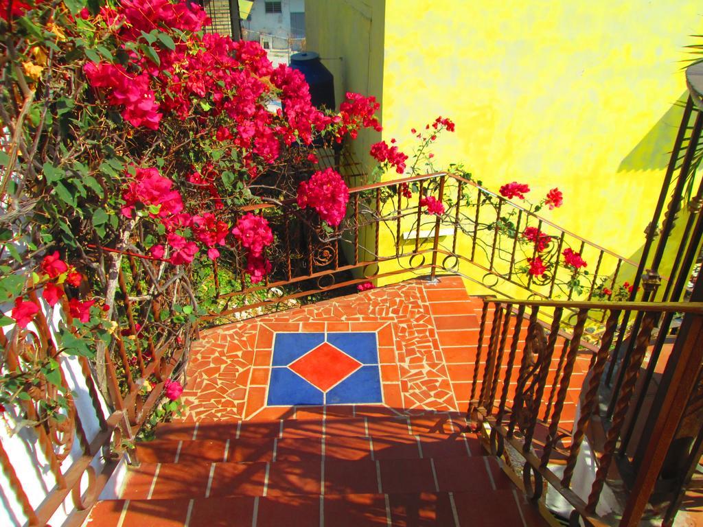 Hotel Vereda Tropical 타보가 외부 사진